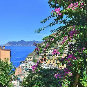Сasa de vacaciones 5 Terre For, Riomaggiore